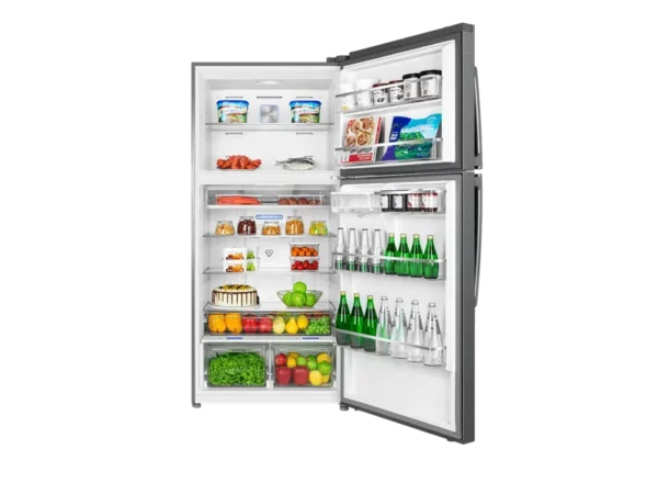 TCL - RP536TXE1 - Réfrigérateur 2 portes congélateur haut – Image 2